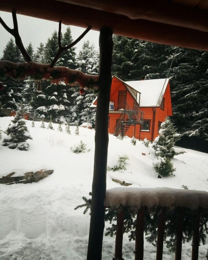 Sadyba Drymba Skhidnytsia 外观 照片