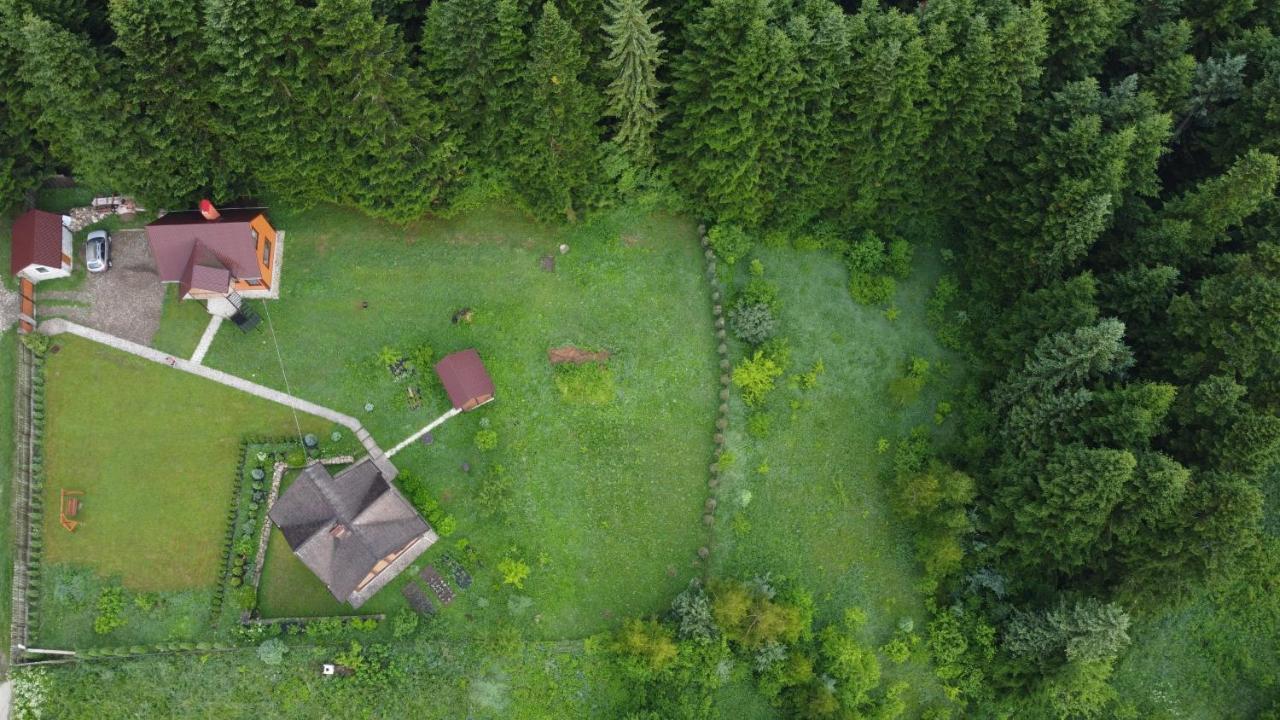 Sadyba Drymba Skhidnytsia 外观 照片