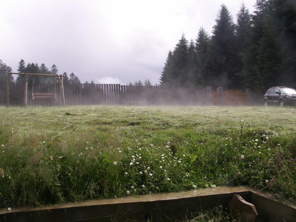 Sadyba Drymba Skhidnytsia 外观 照片