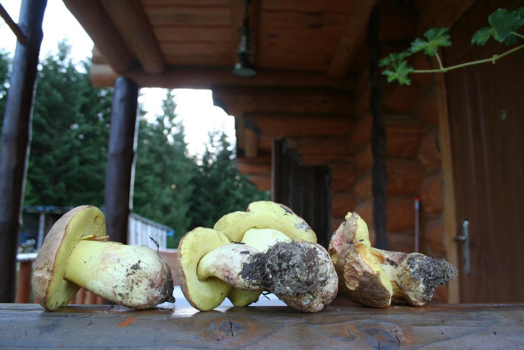 Sadyba Drymba Skhidnytsia 外观 照片